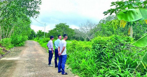 Đất nền 2025: Kỳ vọng nào cho nửa cuối năm?
