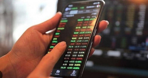 Sập bẫy chứng khoán ảo sau khoản lãi 300.000 đồng, một nữ giám đốc bị lừa mất hơn 434 tỷ