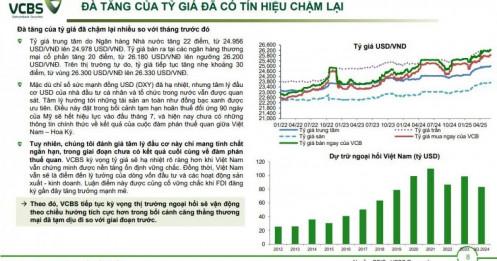 USD vẫn là 'hầm trú ẩn' của NĐT Việt