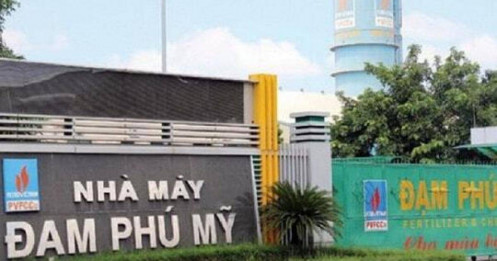 DPM - Có mua được không?