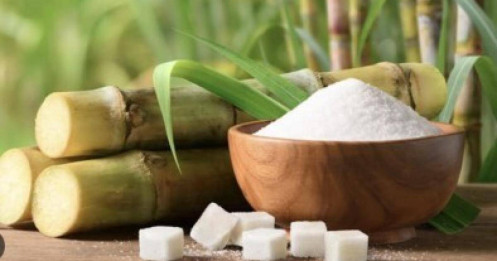 Đường tăng mạnh nhờ đà tăng của giá dầu và sức mạnh của đồng Real Brazil