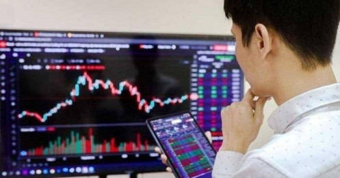 Lửa thử vàng, tin đồn thử bản lĩnh đầu tư