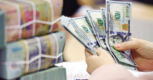 Chủ động phòng ngừa rủi ro tỷ giá