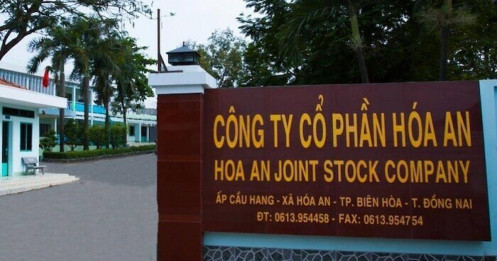 Phân tích cổ phiếu DHA – Xu hướng tăng được củng cố trên nhiều khung thời gian