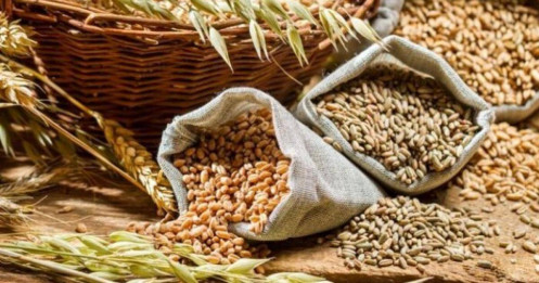 Lúa mì sụt giảm chất lượng, giá đậu tương và ngô được hỗ trợ ngày 18/6/2025