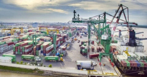 Không đáp ứng điều kiện là công ty đại chúng, VSC đăng ký bán hơn 6,3 triệu cổ phiếu VGR