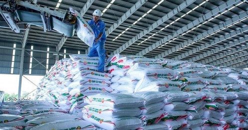 DCM – Đã có những dấu hiệu tích cực