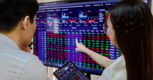 Top cổ phiếu tăng/giảm mạnh nửa đầu năm