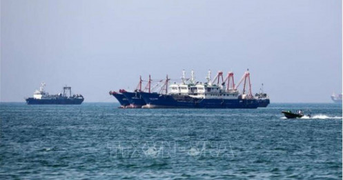 Giá thuê tàu chở dầu qua eo biển Hormuz tăng vọt