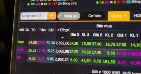 Cổ phiếu cá tra ngược dòng thị trường