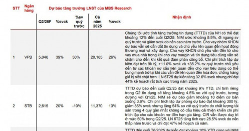 MBS dự báo lợi nhuận 5 ngân hàng tăng trên 25% trong quý 2