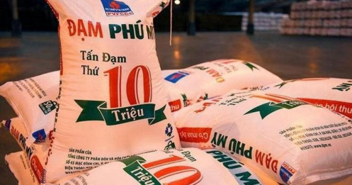 DPM: Những chỉ báo tạo đỉnh ngắn hạn?