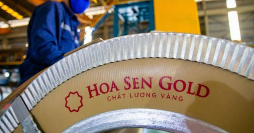 Hoa Sen: Từ cú chuyển mình táo bạo đến mùa quả ngọt của Lê Phước Vũ