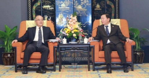 Phó thủ tướng mời doanh nghiệp Trung Quốc đầu tư năng lượng tái tạo tại Việt Nam