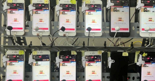 Mất sạch tiết kiệm vì khóa học 'kiếm một tỷ mỗi tháng nhờ TikTok'