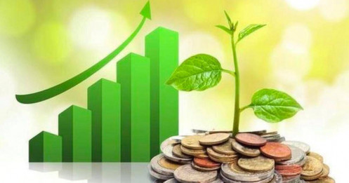 Lịch chốt quyền cổ tức 23/6-27/6: Cổ tức tiền mặt cao nhất 32%, Hòa Phát, VNDirect, Đạm Cà Mau,... đồng loạt "lăn chốt"