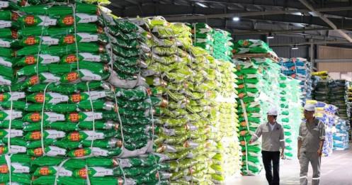 Phân bón - hóa chất: Điểm mặt cổ phiếu tiềm năng giữa bức tranh biến động