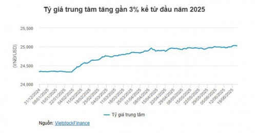 Chuyên gia VPBankS: Ngân hàng Nhà nước chưa cần tăng lãi suất trong năm nay để kiểm soát tỷ giá