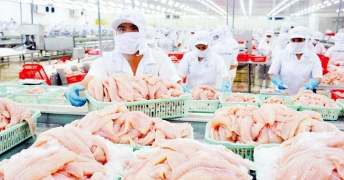 7 doanh nghiệp cá tra Việt được miễn thuế chống bán phá giá tại Mỹ