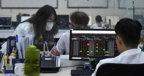 Cổ phiếu IDC - "Ôm đất, ôm tiền" mà vẫn chưa được thị trường định giá đúng