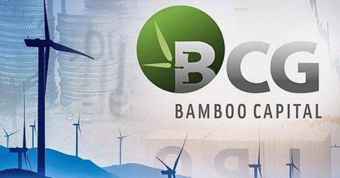 “Phao cứu sinh” cho BCG