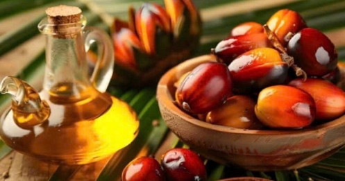 Dầu Cọ Thoát Đáy Ngắn Hạn – Nhưng ‘Bóng Ma’ Tồn Kho Indonesia Vẫn Lơ Lửng