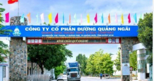 QNS – Tiếp tục tăng trưởng (Kỳ 1)