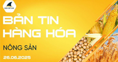 Bản Tin Nhóm Nông Sản Ngày 26/06/2025