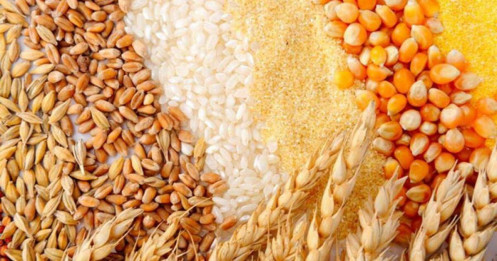 Giá Nông Sản Trước Thềm Báo Cáo USDA Ngày 28/6: Cơ Hội Hay Rủi Ro?