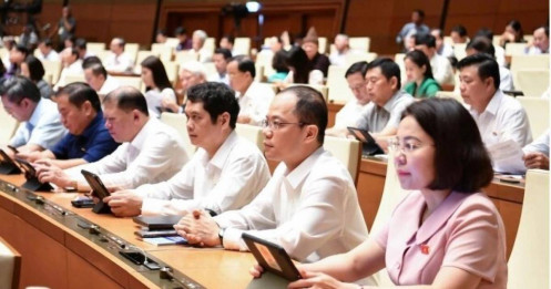 Thuế đất nông nghiệp được miễn tiếp 5 năm