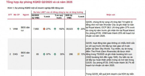Dự báo KQKD quý 2 của VHM, DXG, KDH, NLG