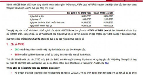 BVH được dự báo sẽ loại khỏi rổ VN30, đâu là cái tên sẽ thay thế?