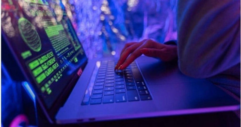 Lý do người thông minh vẫn bị lừa đảo