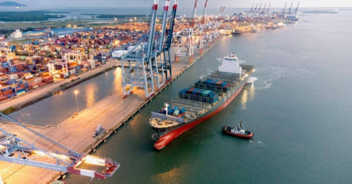 "Sóng lớn" từ Mỹ: Cổ phiếu cảng biển nào đón đầu tăng trưởng?