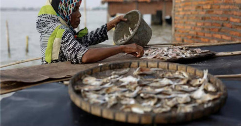 Hướng đi mới cho phát triển bền vững ở Đông Nam Á