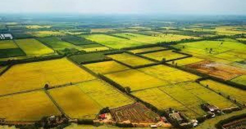 Kiến nghị tăng giá đất nông nghiệp bằng 65-70% giá đất ở