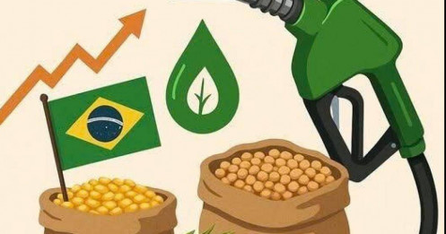 Triển vọng giao dịch đậu tương tuần này: Cơ hội từ chính sách sinh học và diễn biến mùa vụ!