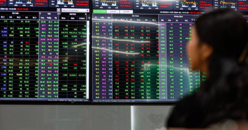 Không chỉ nhà đầu tư cá nhân, loạt quỹ ngoại tên tuổi cũng thua VN-Index