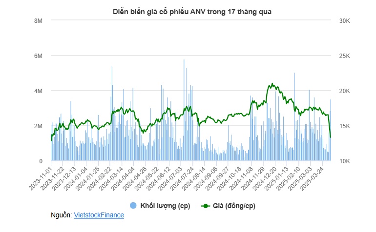 Thị giá về đáy 17 tháng, Tổng Giám đốc ANV gom cổ phiếu giữa "bão" thuế quan