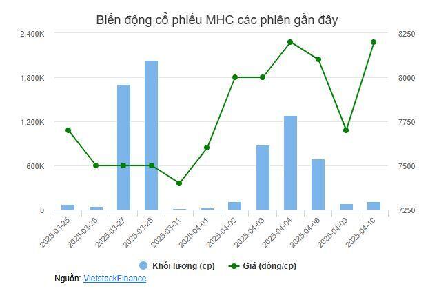 Cổ đông lớn MHC liên tục gom cổ phiếu trong 3 phiên thị trường đỏ lửa