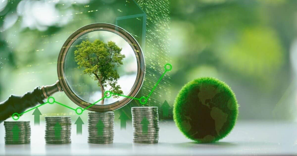 Tôi mất tất cả vì bỏ việc ổn định để 'khởi nghiệp xanh'