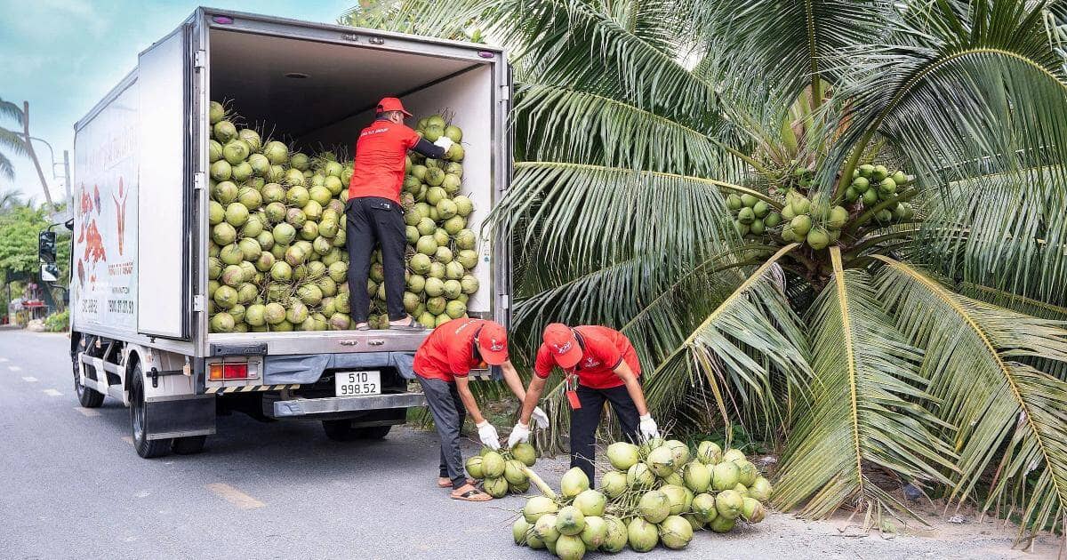 Mỹ tăng nhập rau quả Việt trong quý I