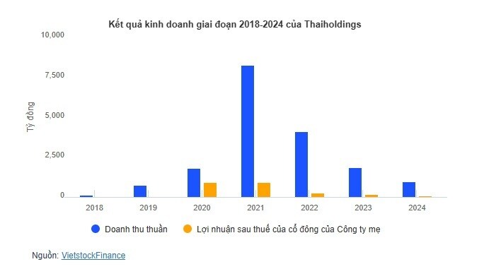 ĐHĐCĐ Thaiholdings: Tập trung đầu tư tài chính và BĐS để vượt đáy lợi nhuận