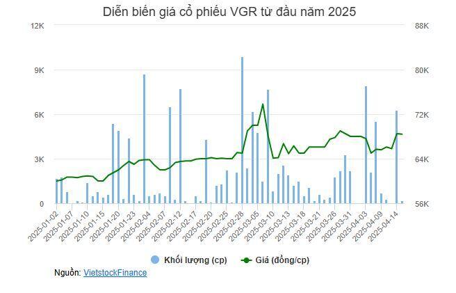 Cảng Xanh Vip sắp chi hơn trăm tỷ trả nốt cổ tức 2024