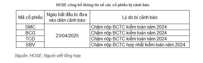 Loạt cổ phiếu BCG, TCD, SMC, SBV bị HOSE cảnh báo