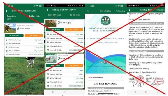 Công an công bố 'khẩn' về hai đường link khiến 751 người bị lừa hơn 17 tỷ