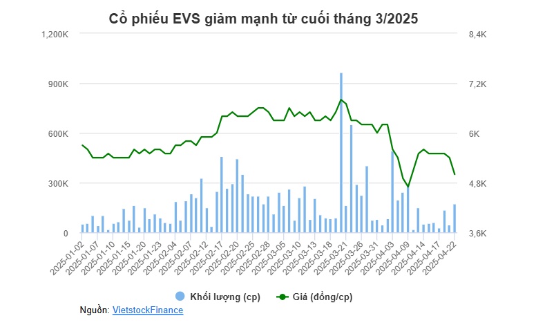 Chủ tịch EVS muốn mua 2.2 triệu cp để trở thành cổ đông lớn