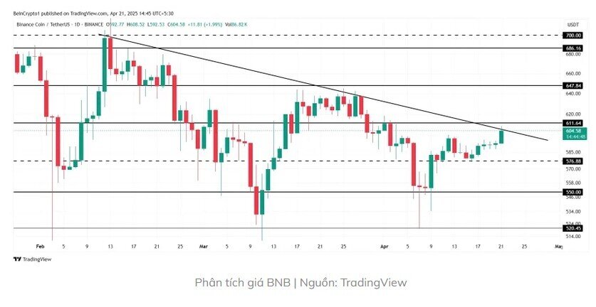 Top 3 đồng tiền điện tử đáng chú ý trong trong tuần này