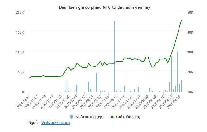 Cổ phiếu lập đỉnh lịch sử sau 7 phiên trần, NFC giải trình "do nhà đầu tư kỳ vọng"