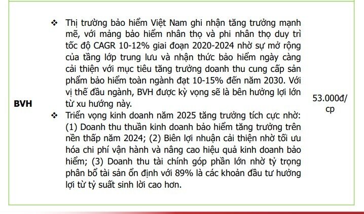 8 cổ phiếu Bluechips đầu ngành định giá hấp dẫn, nhiều tiềm năng tăng trưởng trong tương lai